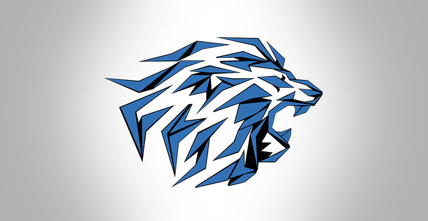 Munich Lions Academy